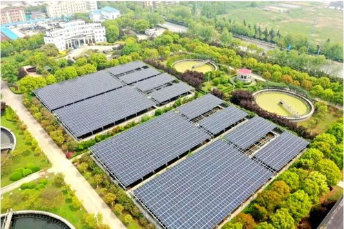 三峽集團2022年首個長江大保護項目正式開工