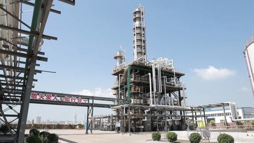 總投資4.7億 樂亭這個(gè)循環(huán)經(jīng)濟(jì)項(xiàng)目迎來新進(jìn)展